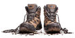 chaussures